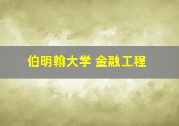 伯明翰大学 金融工程